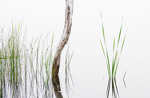 ZEN, CABOT HEAD - BRUCE COUNTY - THE LAND