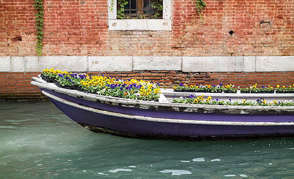 FLOWER BOAT - VENICE - VENICE IN COLOUR