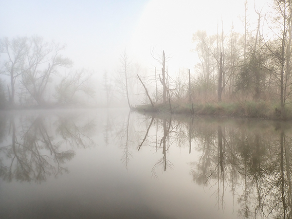 Big Creek--May Fog #2 - From My Kayak