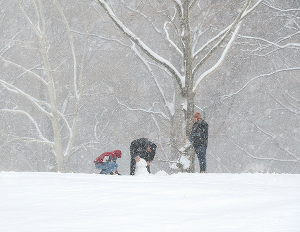 SNOWMAN NOVICES - CENTRAL PARK - NEW YORK IN COLOUR