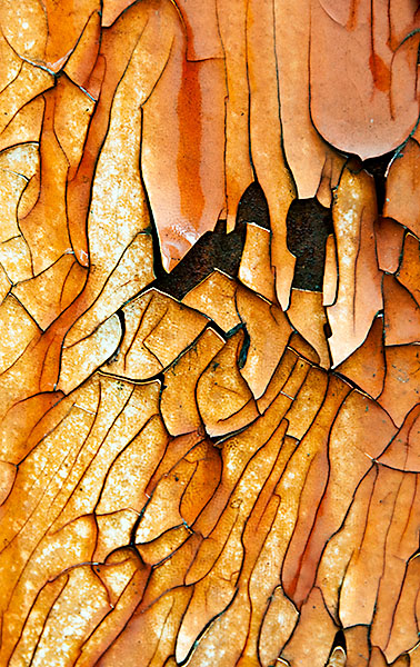 GOLD LEAF - THE WRECKING YARD PROJECT