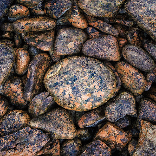 SHORE ROCK - GEORGIAN BAY - THE BRUCE, JUNE 2018