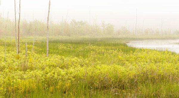 Sky Lake--June - Bruce Peninsula 2025