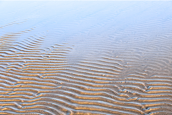 RIPPLES, BLUE AND GOLD - LONG POINT - SUMMER