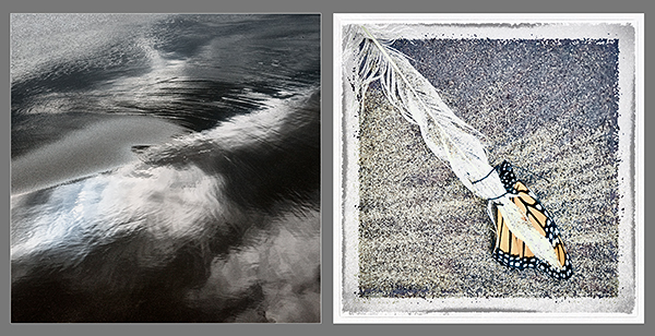 HE/SHE, 2015 #21 - PHOTO STORAGE
