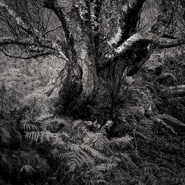 RESISTANCE, LOCH MAREE - SCOTLAND - KATHY'S TENSET, 2015
