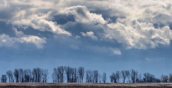 DECEMBER LIGHT - BIG CREEK - THE MARSH