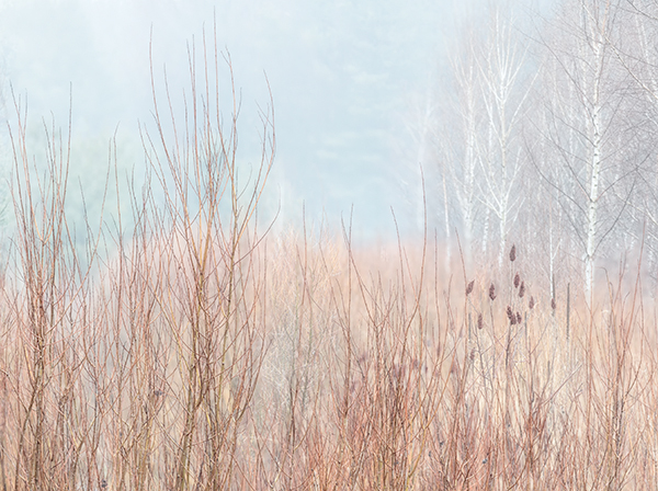 SCREENED, APRIL 2018 - NORFOLK COUNTY - SPRING