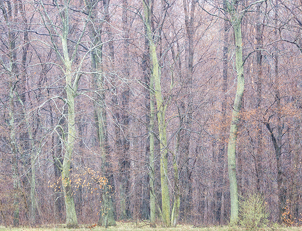 April, 2017 #4 - Norfolk County - SPRING