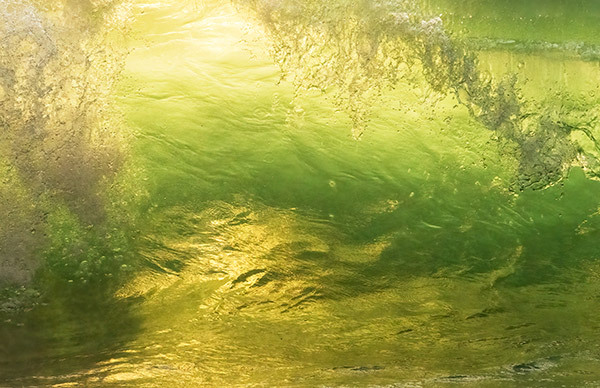 #6--Back-lit Wave--Georgian Bay - Larry's Tenset 2025