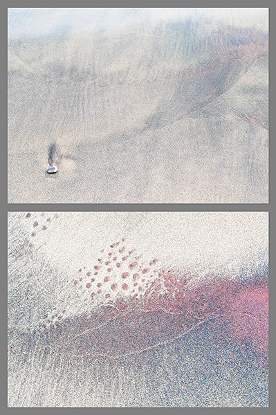 HE/SHE #26, 2019 - HE SAW/SHE SAW 2018-2019