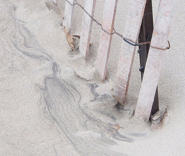 SAND FENCE DETAIL - LONG POINT BEACH - SNOW/SAND FENCES, LONG POINT