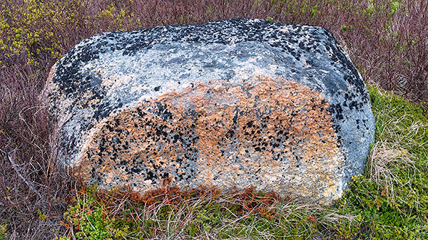 ERRATIC - LUMSDEN - NEWFOUNDLAND