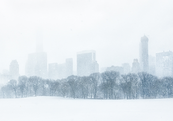 SKYLINE - CENTRAL PARK - NEW YORK IN BLACK AND WHITE