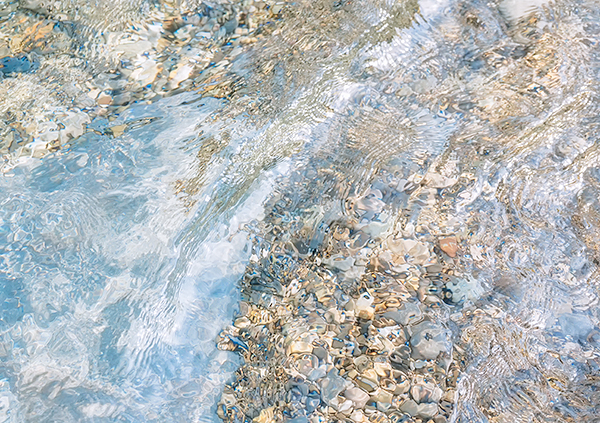 SPLASH #12 - BRUCE COUNTY - JUNE 2017