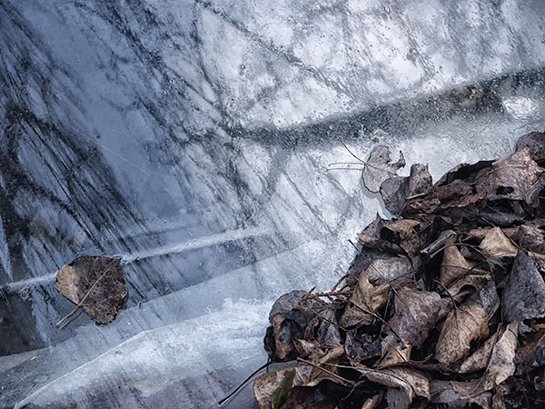 NOVEMBER REFLECTION - WRECKING YARD - LARRY'S TENSET, 2013