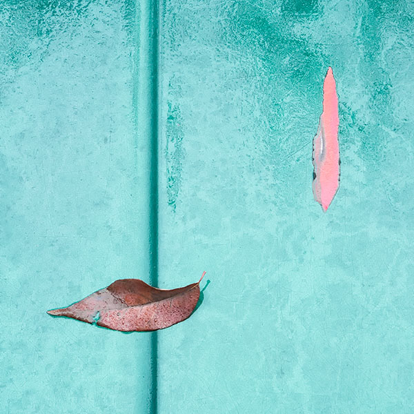 HOOD DETAILS, NOVEMBER 2018 - PHOTO STORAGE