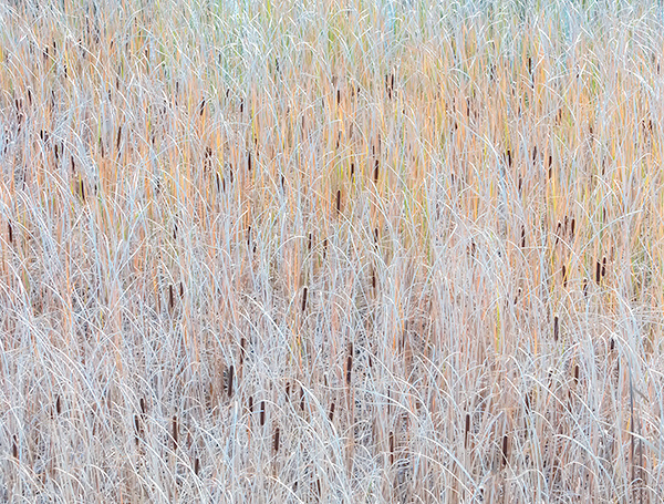 AUTUMN PASTELS - OCTOBER, 2018 - THE BRUCE, OCTOBER 2018