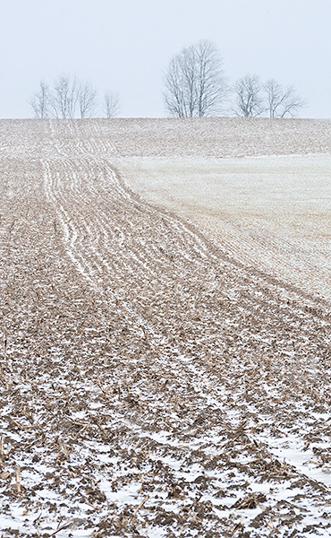 SNOW SQUALL - OXFORD COUNTY - BIGGERSCAPES
