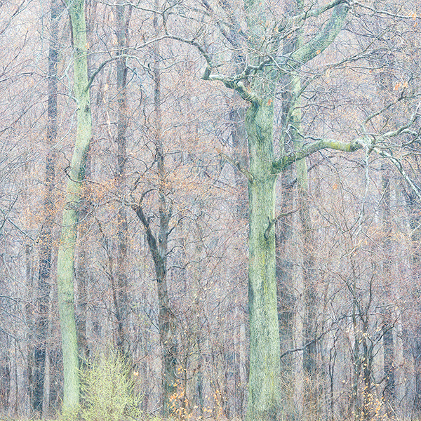 April, 2017 #5 - Norfolk County - SPRING
