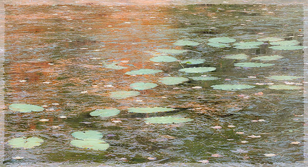 IMPRESSION, TIDAL POND - ACADIA NP, MAINE - EAST COAST, OCTOBER, 2014