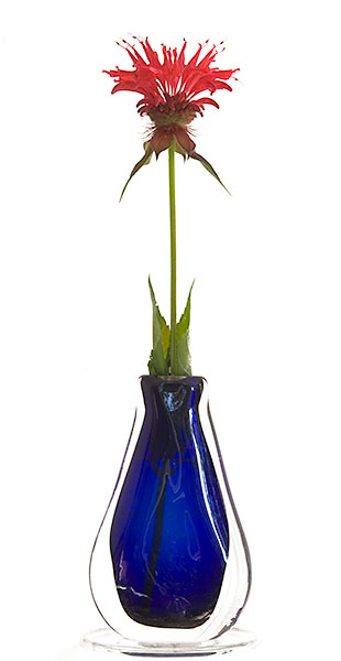 MONARDA AND BLUE VASE - FLORAL EXPRESSIONS