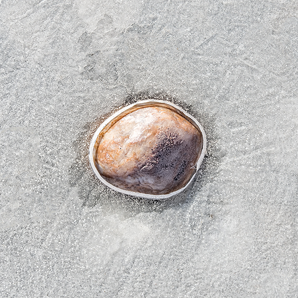 WINTER PUDDLE #3, 2018 - LONG POINT BEACH - DETAILS