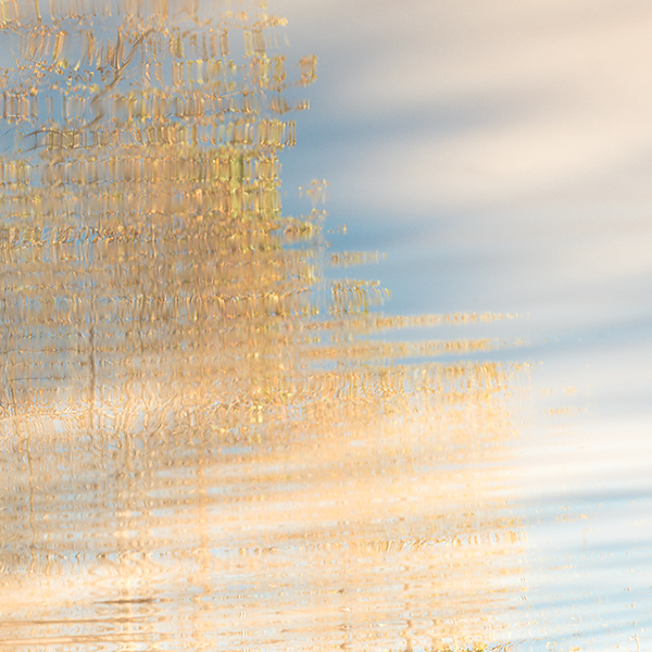 UPON REFLECTION #2 - LONG POINT - PHOTO STORAGE