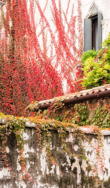 OCTOBER- VENICE - VENICE IN COLOUR