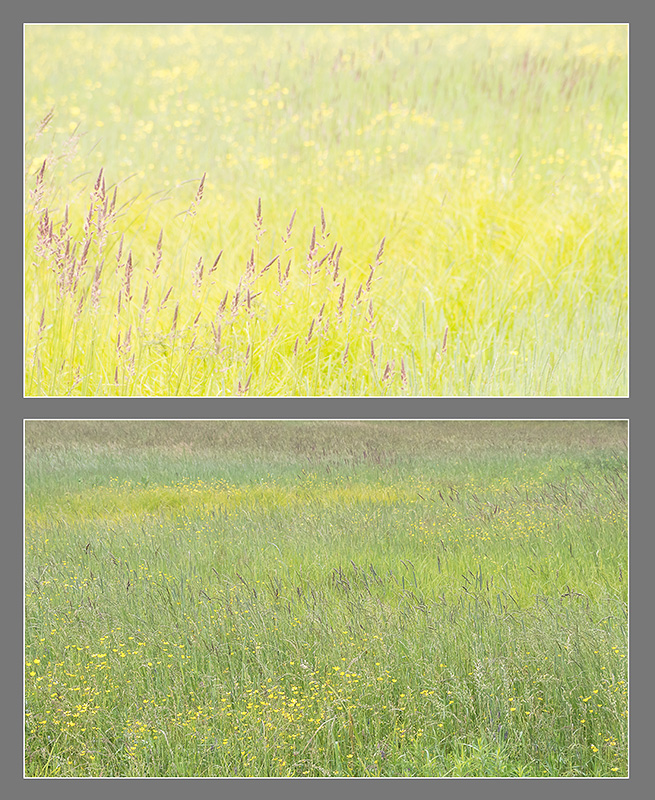 H/S WEEK 27 - PHOTO STORAGE