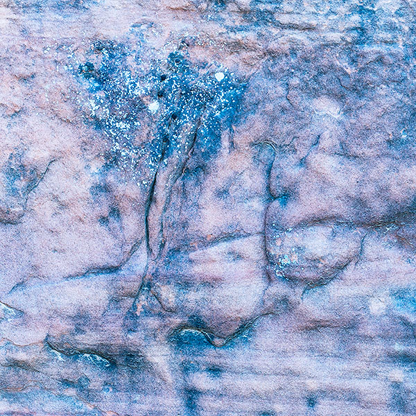 ROCK AND LICHEN DETAIL, CANYONLANDS NP - UTAH - PHOTO STORAGE
