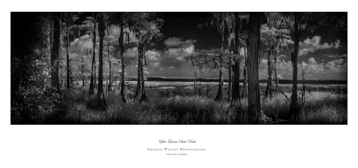 Lake Louisa SP II - Florida State Parks