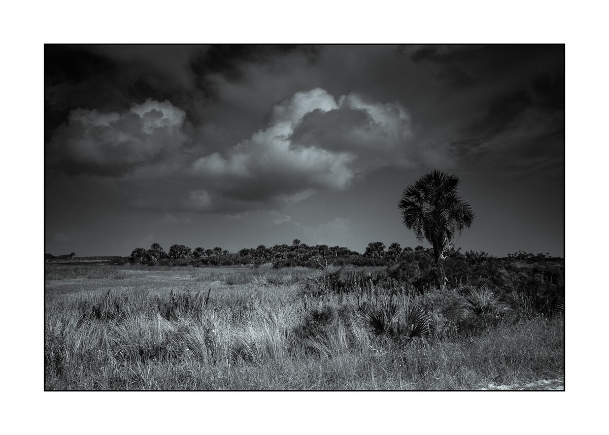 Brevard County - Merritt Island NWR IV - Florida Wild -  Landscapes of the Sunshine State