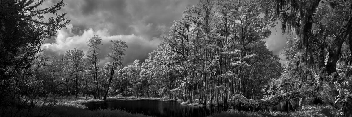 Palatlakaha River - Fine Art Black & White Panoramic 3:1 Ratio