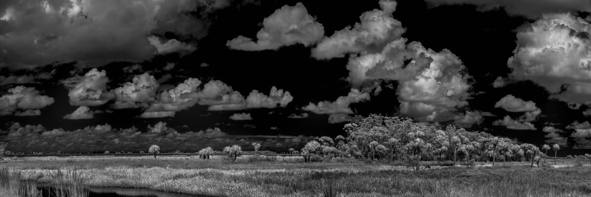 Sevenmile Slough I - Fine Art Black & White Panoramic 3:1 Ratio