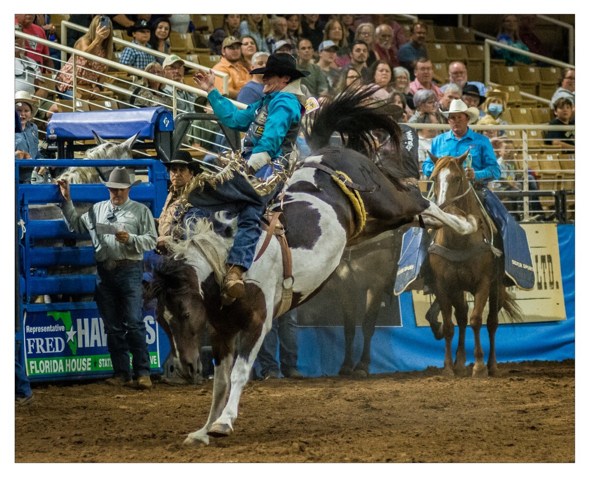 Rodeo Portfolio - Bareback 01 - Rodeo
