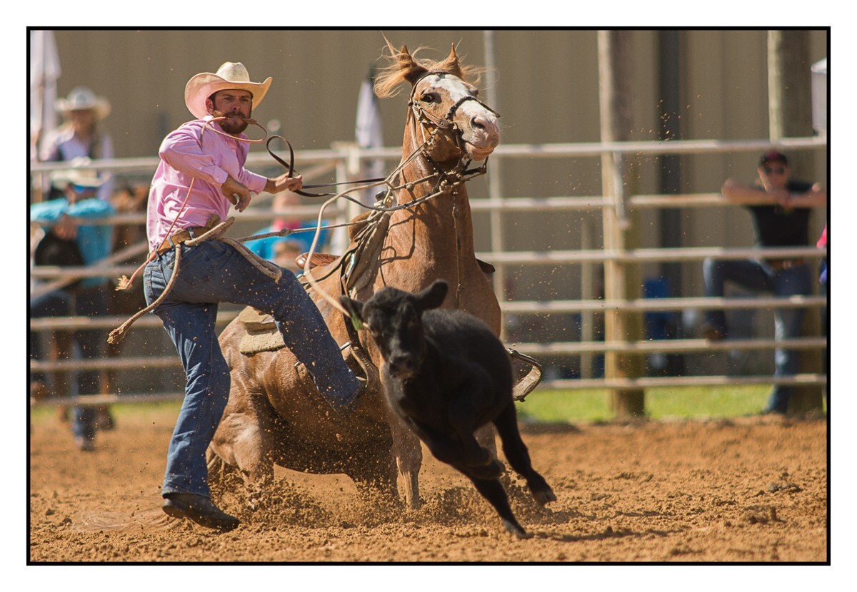 Calf Roping Dismount 1 - Rodeo