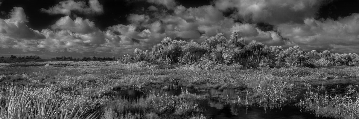 Hammock II - Fine Art Black & White Panoramic 3:1 Ratio