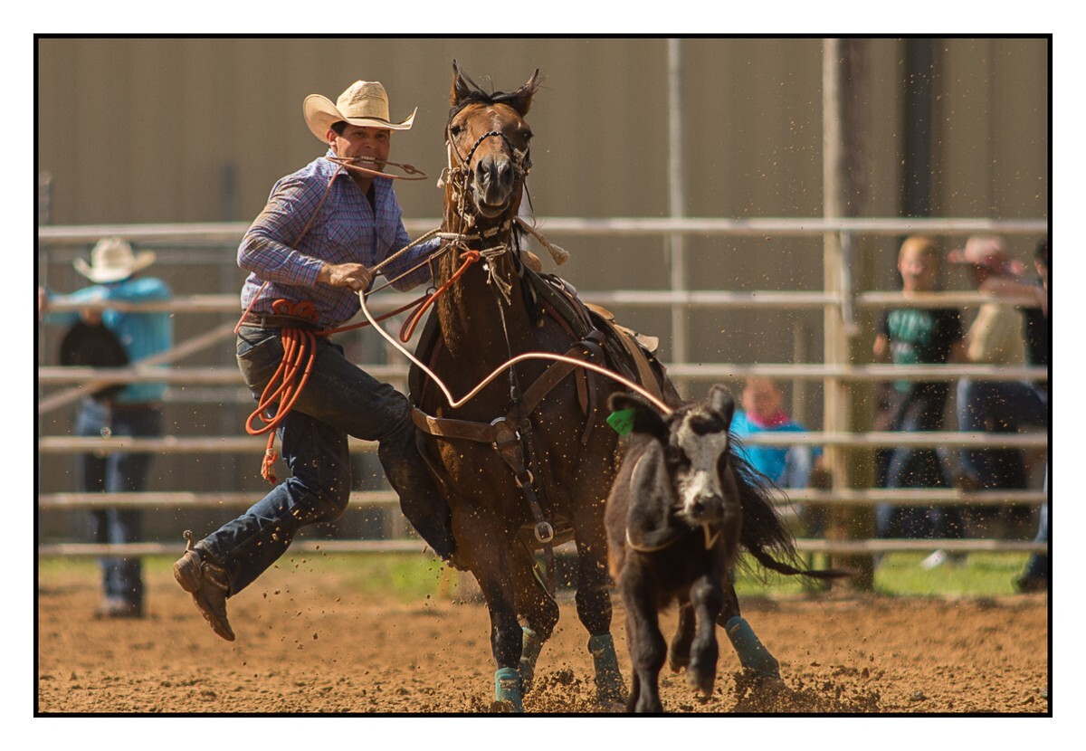 Calf Roping Dismount 2 - Rodeo