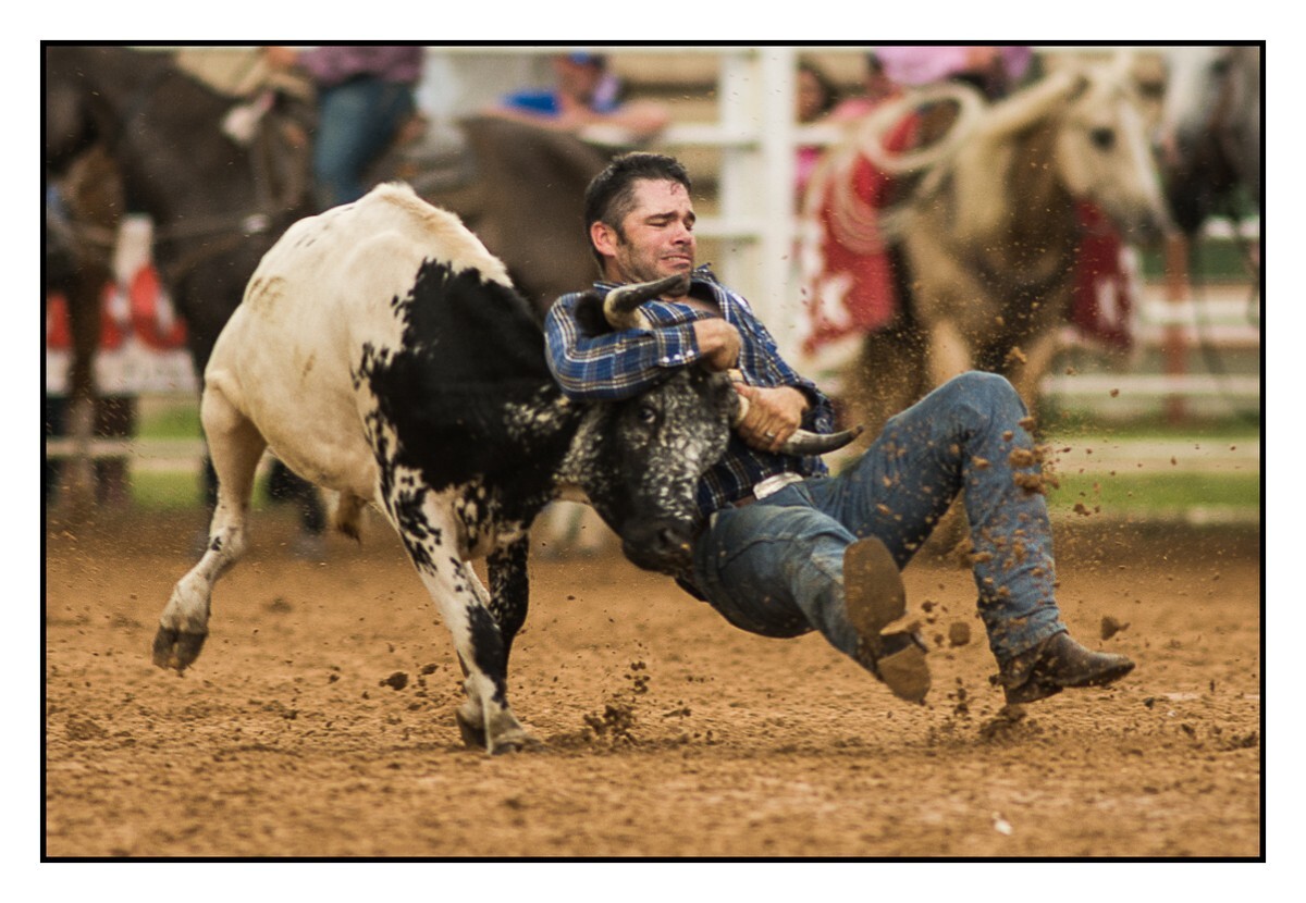 Steer Wrestling 1 - Rodeo
