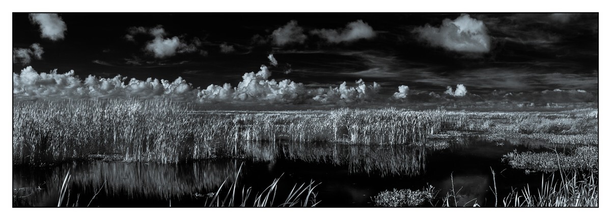 Lake Apopka - Lake County - FLO - Pan (The Florida Panoramic Exhibit)