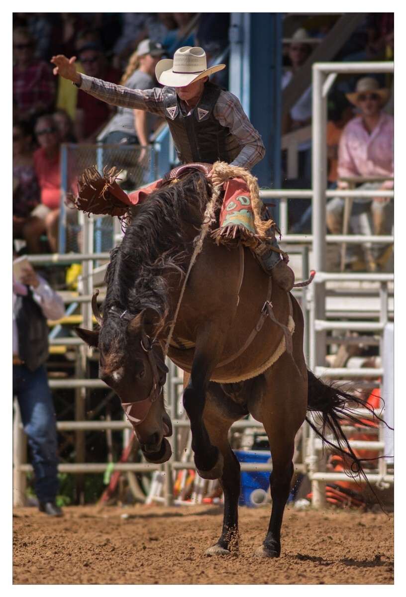 Rodeo Portfolio - Non Traditional 02 - Rodeo