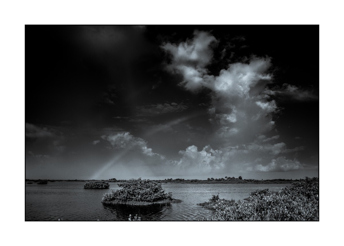 Brevard County - Merritt Island NWR III - Florida Wild -  Landscapes of the Sunshine State