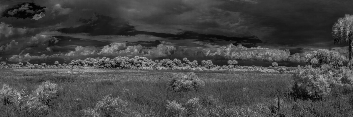 Gathering Storm II - Fine Art Black & White Panoramic 3:1 Ratio