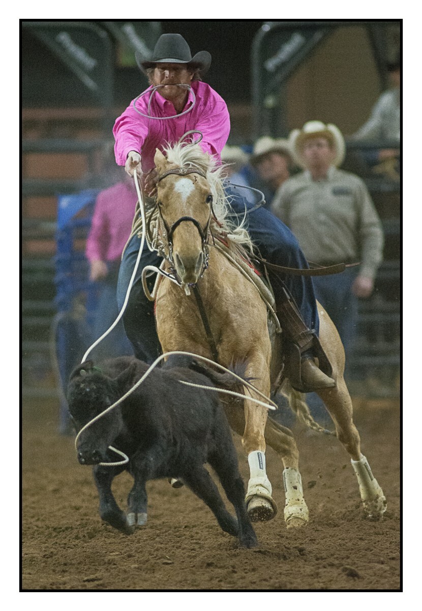 Calf Roping 1 - Rodeo