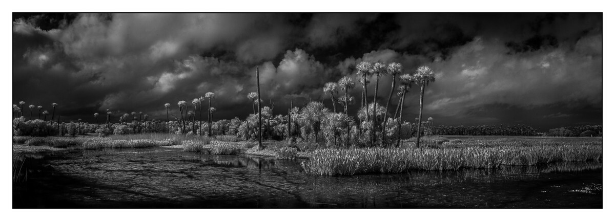 Orlando Wetlands - Orange County - FLO - Pan (The Florida Panoramic Exhibit)