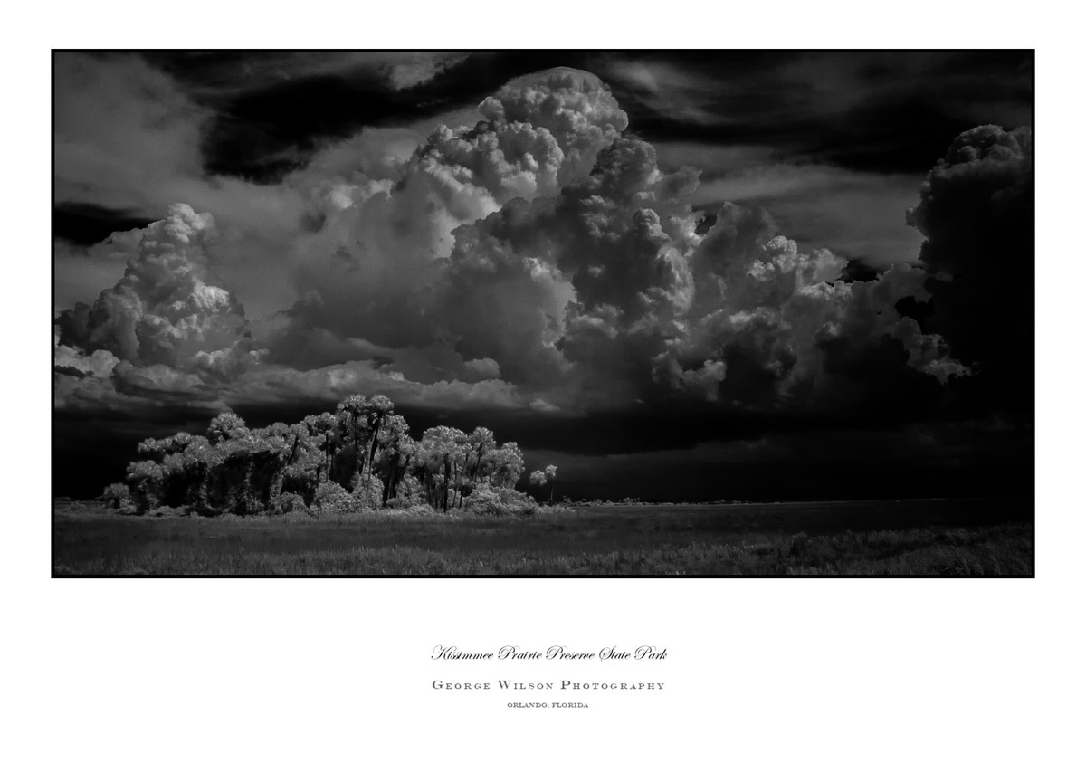 Kissimmee Prairie Preserve SP III - Florida State Parks
