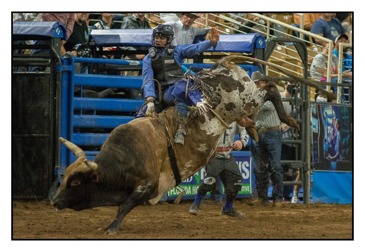 Bull Riding 3 - Rodeo
