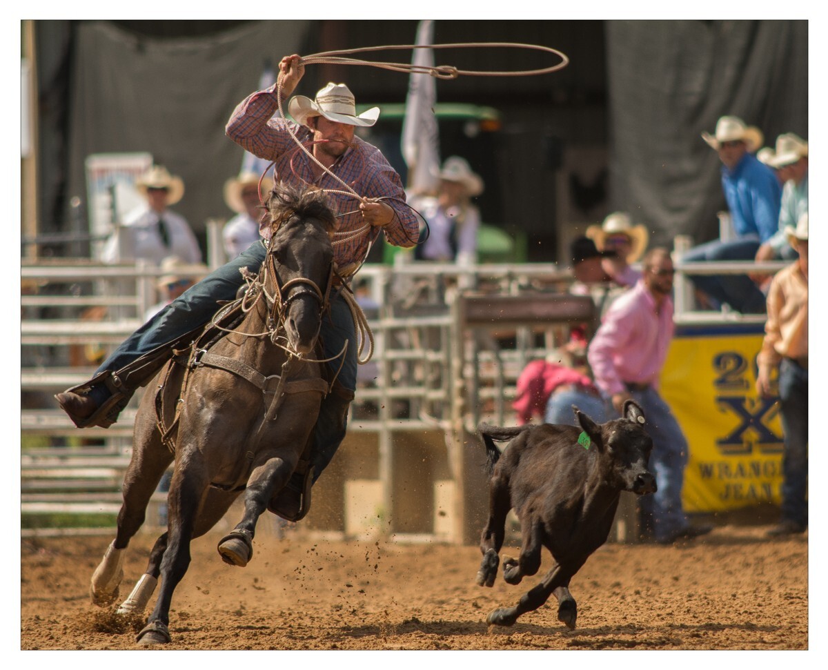 Rodeo Portfolio - Misc 02 - Rodeo