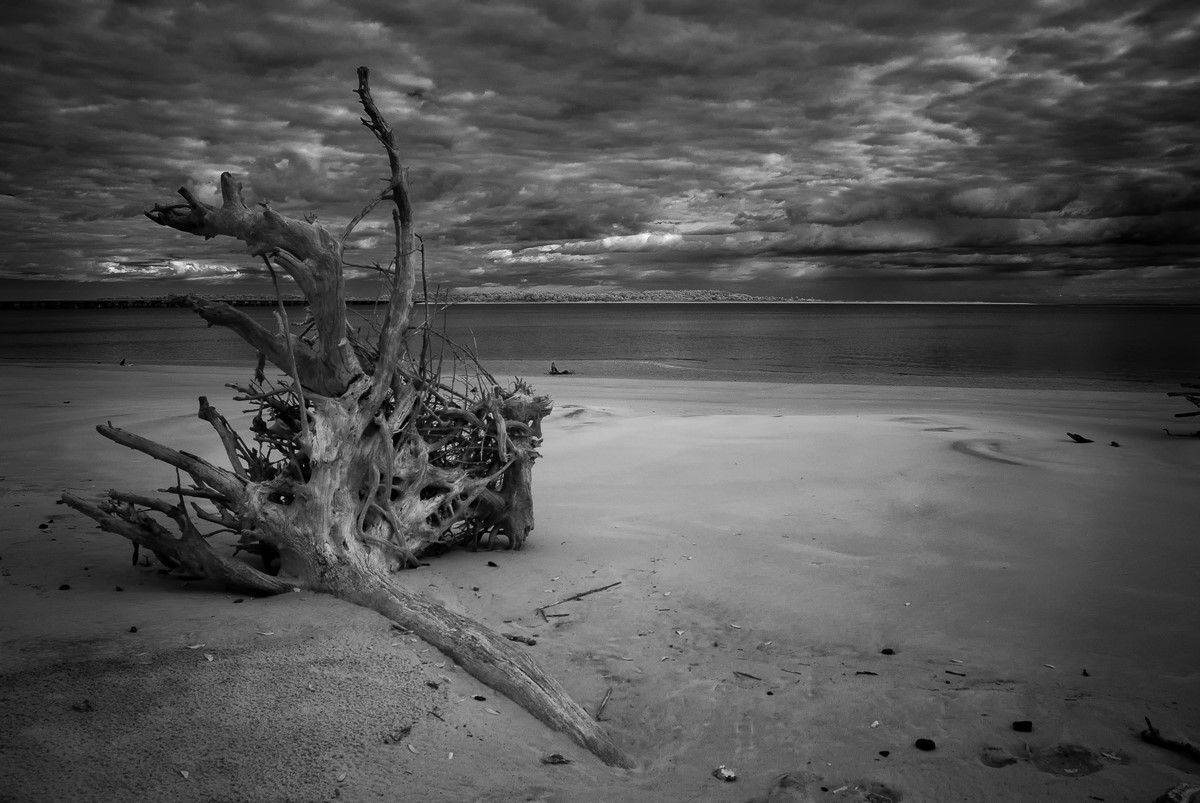 Gathering Storm - Fine Art Black and White - Florida